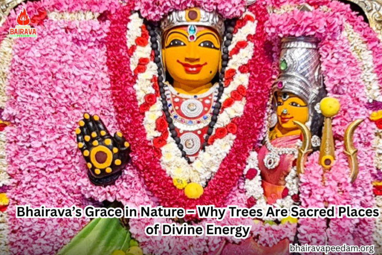 Bhairava’s Grace in Nature – Why Trees Are Sacred Places of Divine Energy