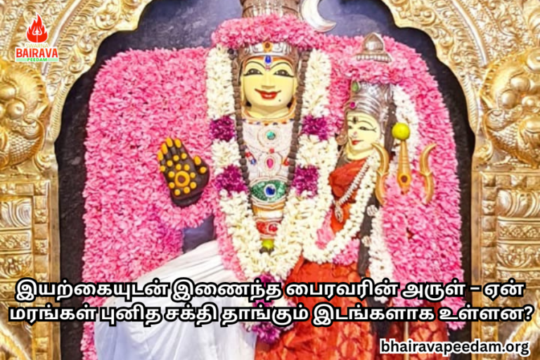 இயற்கையுடன் இணைந்த பைரவரின் அருள் – ஏன் மரங்கள் புனித சக்தி தாங்கும் இடங்களாக உள்ளன?